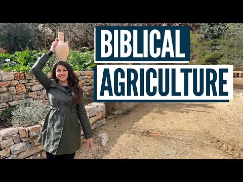 WHAT WAS LIFE LIKE IN JESUS’ TIME? Biblical Agriculture