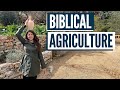 WHAT WAS LIFE LIKE IN JESUS TIME Biblical Agriculture