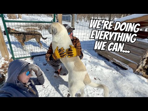 When the COLD Hits THIS Hard...