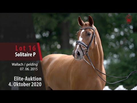Elite-Auktion 4. Oktober 2020 Lot 16 Solitaire P Wallach v. Sir Heinrich - Rotspon