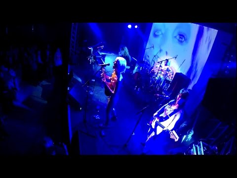 Alfred's Donut Heart - Moonage Daydream - Bowie Tribute