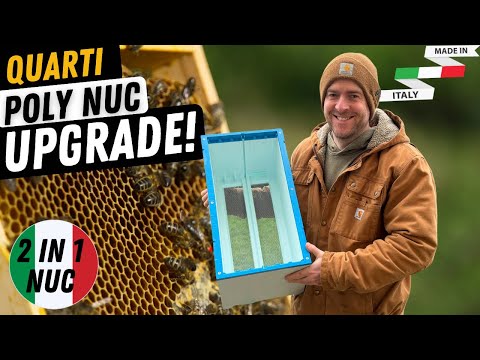 Quarti Langstroth Poly Nuc Major Upgrade!! 2 Beehives in 1!!