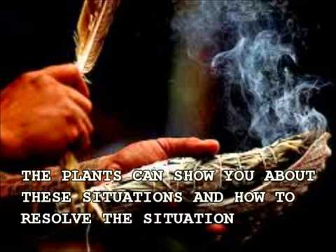 CONNECTING TO NATURE- Herbert Quinteros