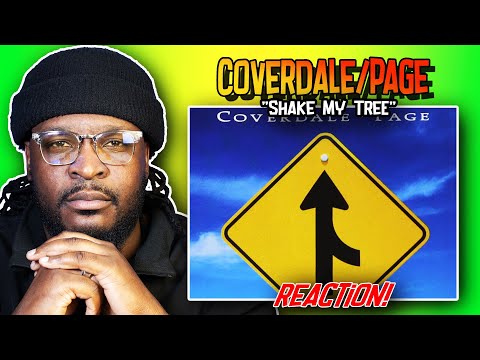 Jimmy Page? | Coverdale/Page - Shake My Tree | REACTION/REVIEW