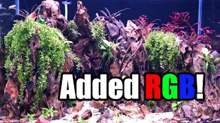 Dragon Valley Update | Adding YOUR RECOMMENDED FISH!