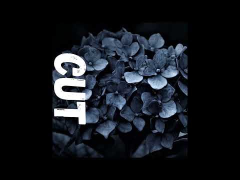 [FREE] t-low x LUIS Pop Punk type beat - "cut" | prod. by Asterio x Wvnnvbe