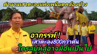 ตำนาน  ! เสาตะลุง 800กว่าต้น แห่งเพนียดคล้องช้าง สุดอาถรรพ์ ของวิญญาณแห่งบรรพบุรุษ