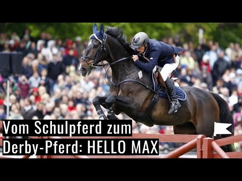 Vom Schulpferd zum Derby-Pferd 😱 | Ein ganz besonderes Pferd! | Gilbert Tillmann's Hello Max