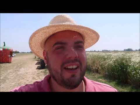 Niečo je vo vzduchu #2156/2021 | DENNÉ VLOGY