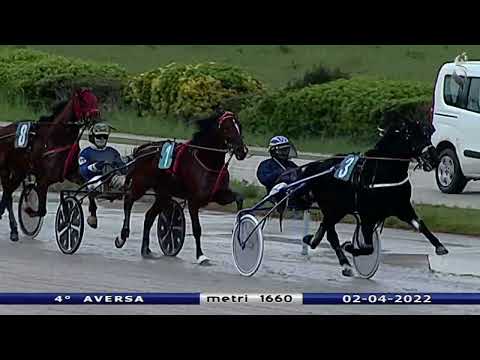 Aversa trotto 2 Aprile 2022 - 4° Corsa