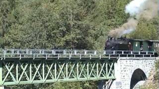 preview picture of video 'Wälderbähnle (Museumsbahn im Bregenzerwald)'