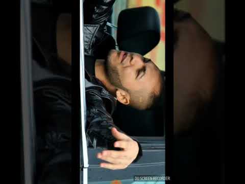 Muzica cu Dani Mocanu și Dani Prințul Banatului și umpic dintr-un joc