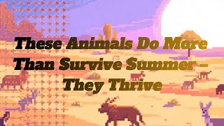 These Animals Do More Than Survive Summer – They Thrive #nature #animals