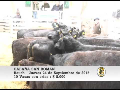 24-09-15 Venta de Vientres - Cabaña San Roman - Rauch.
