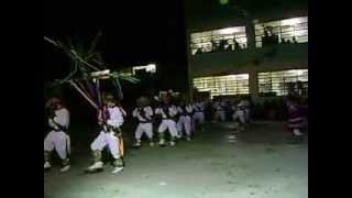 preview picture of video 'Danza Cañeros de San Jacinto  IEP Dos de Mayo La Huaca   2010'