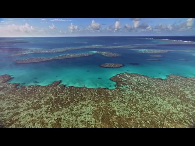 Vídeo relacionado con 366 dias para reflexionar sobre nuestra tierra