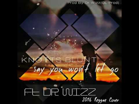 Tolenz and Ashes (Knotts Blunt) Ft Dr Wiz - Say You Won't Let Go (Reggae Cover)