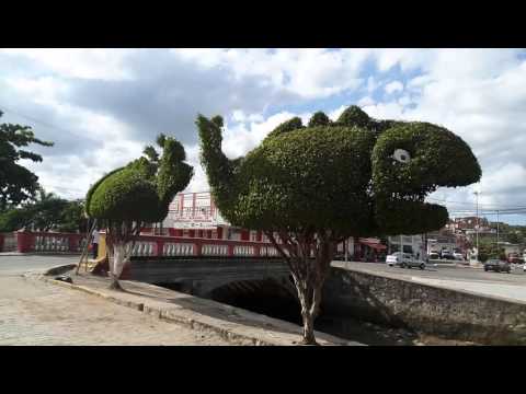 SANTO AMARO DA PURIFICAÇÃO