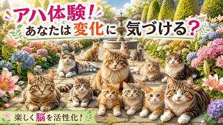 【脳トレで認知機能アップ】毎朝の脳活で健康習慣を！
