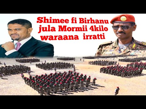  Birhanu jula fi Shimee Mormii 4kilo waraana  irratti | Moha Oromo 