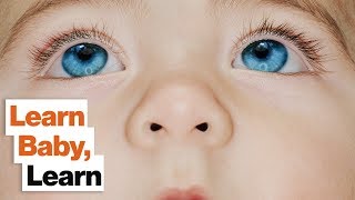 Babies Are Master Learners: How Adults Can Stimulate Their Innate Learning Skills | Janet Lansbury