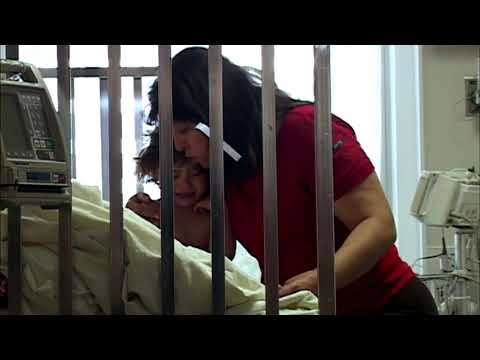 Palestina u fokusu - Farah - Četvrtak 17:05