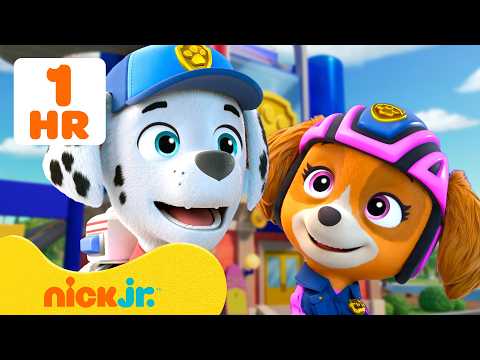 Paw Patrol | La Patrulla Canina al Rescate: Misiones #3 | Nick Jr. en Español