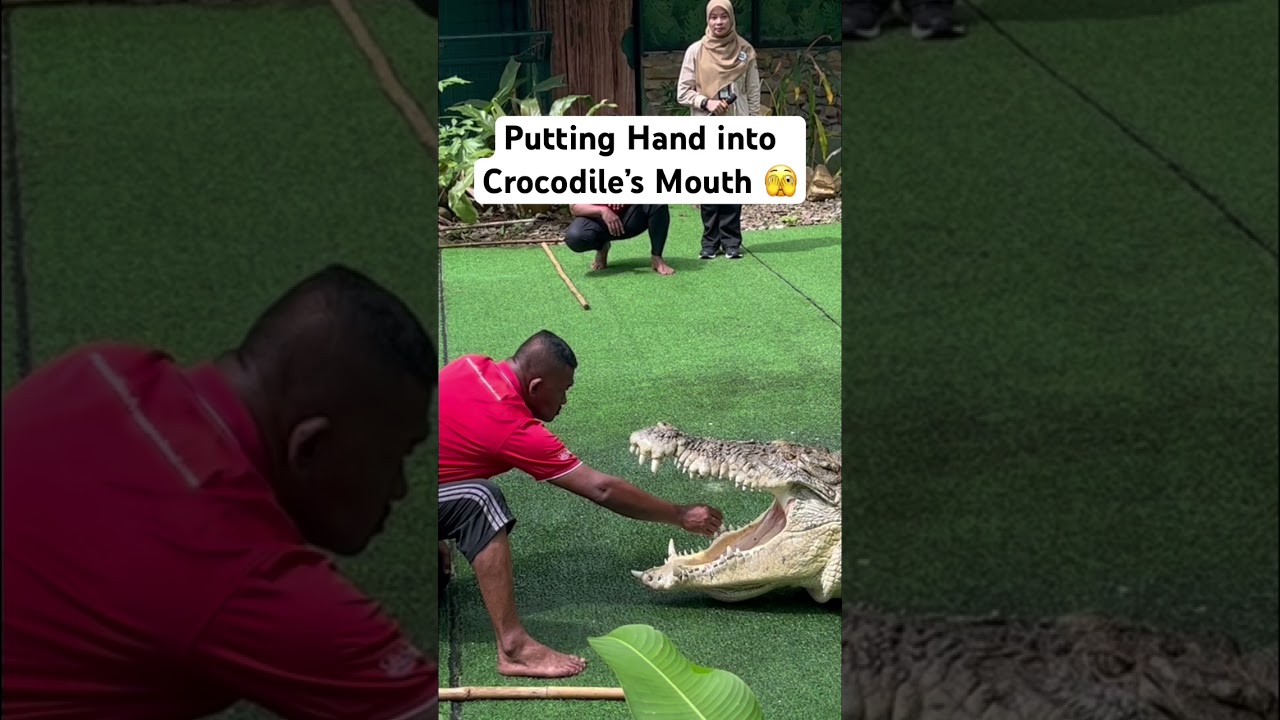 YouTube Short thumbnail