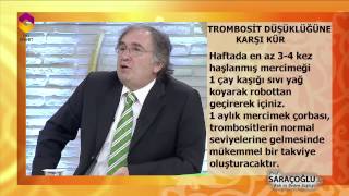Trombosit Düşüklüğüne Karşı Kür - TRT DİYANET