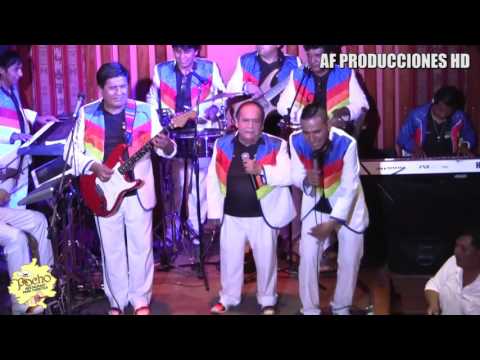 Los Shapis (Mi Tallercito, Chofercito, cervecita, Aguajal, huayno) Peña Pocho - AF PRODUCCIONES HD