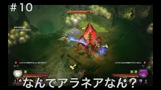 #10  ディアブロ３【夫婦実況】【協力プレイ】