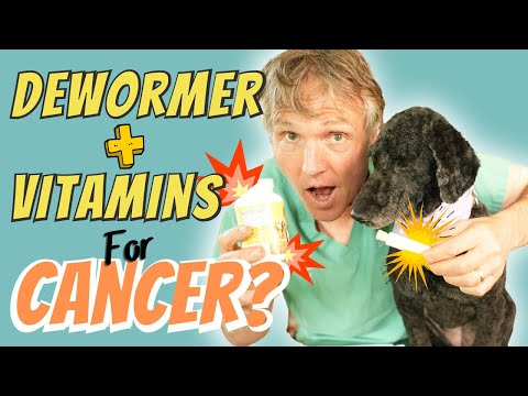 Panacur and Antioxidant Vitamins Stop Cancer