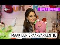 SPAARVARKEN SURPRISE | Super Surprise | NPO Zapp