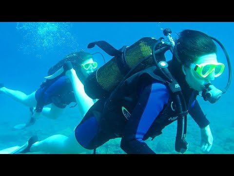 Alanya Diving 2 Alanya Diving 1
