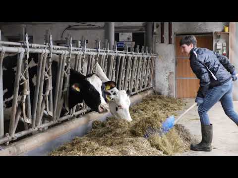 UnVERZICHTbar - Jolanda Hinteregger, Niederhuberhof