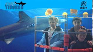 DIA 2 Expo Tiburon295