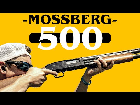 This Gun Started My Career | Mossberg 500 12ga Pump Shotgun Review