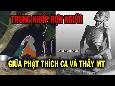Người dân Ấn Độ phải kinh ngạc trước sự trùng khớp rùng mình về Thầy Minh Tuệ và Đức Phật Thích Ca