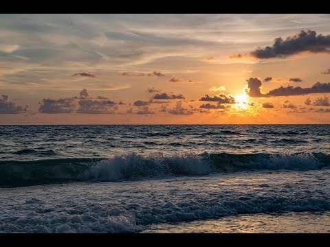 The Addison LLC - Video 2 of 2