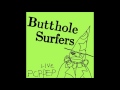 Butthole Surfers - Something (live)