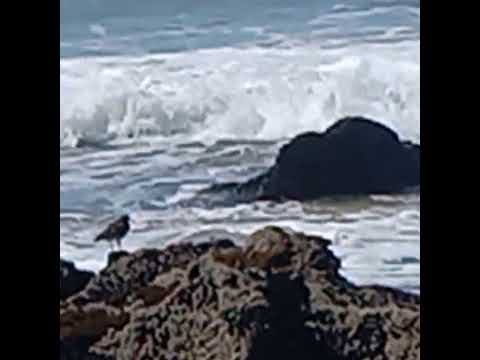 #waves #love #irresistible#force