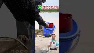 Men vi sinh Max Clean - Xử lý nước ao nuôi thuỷ sản, làm sạch tảo, sạch đáy ao, tạo màu trà cho nước