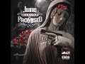 June I Got Shooters Too Ft Celly Ru Slim 400 Clean
