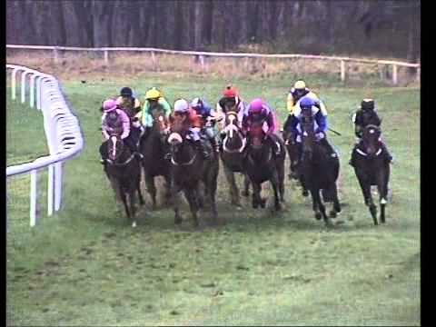 Galopprennbahn Dresden 21.11.2012 - 8. Rennen