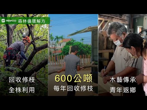 國產材 ✕ 碳匯 —— 打造永續未來的綠色密碼