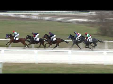 2020.12.20. 07. futam - KINCSEM PARK DÍJA (I.kat.) (szintetikus pálya)