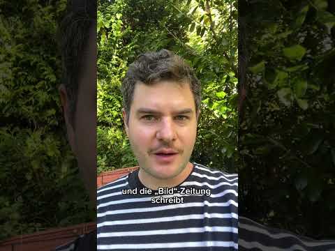 Vorschlag zur Güte #31