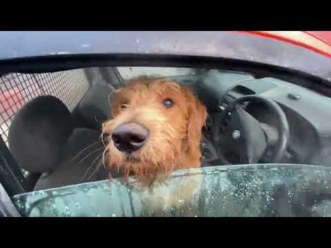 Toby helps out at the Workshop