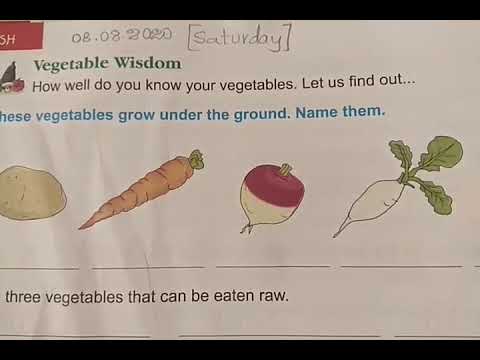 CBSE Class2 English,Le-1 The Vegetable Parade (Vegetable Wisdom) , page no:18.