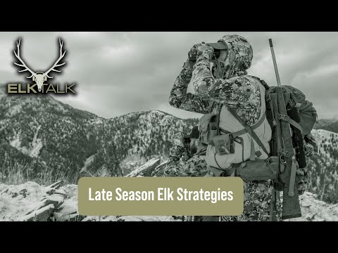 Late Season Elk Strategies (Elk Talk Podcast EP 156)